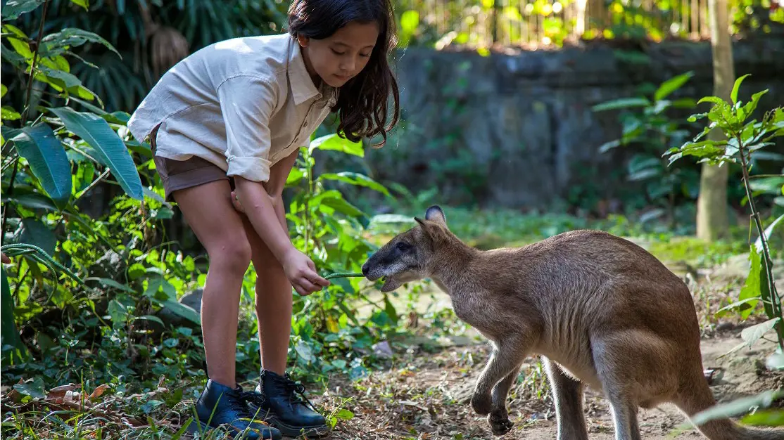 Bali Zoo Ticket – Bild 2
