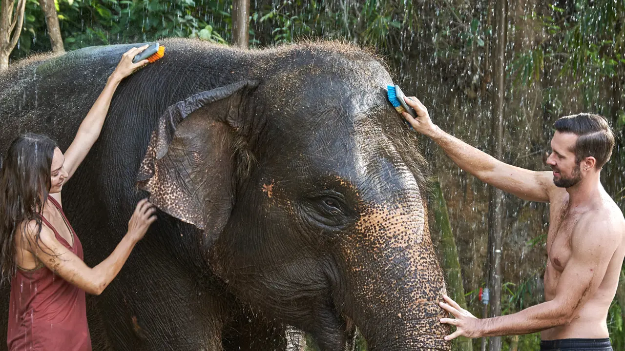 Bali Zoo Ticket – Bild 4
