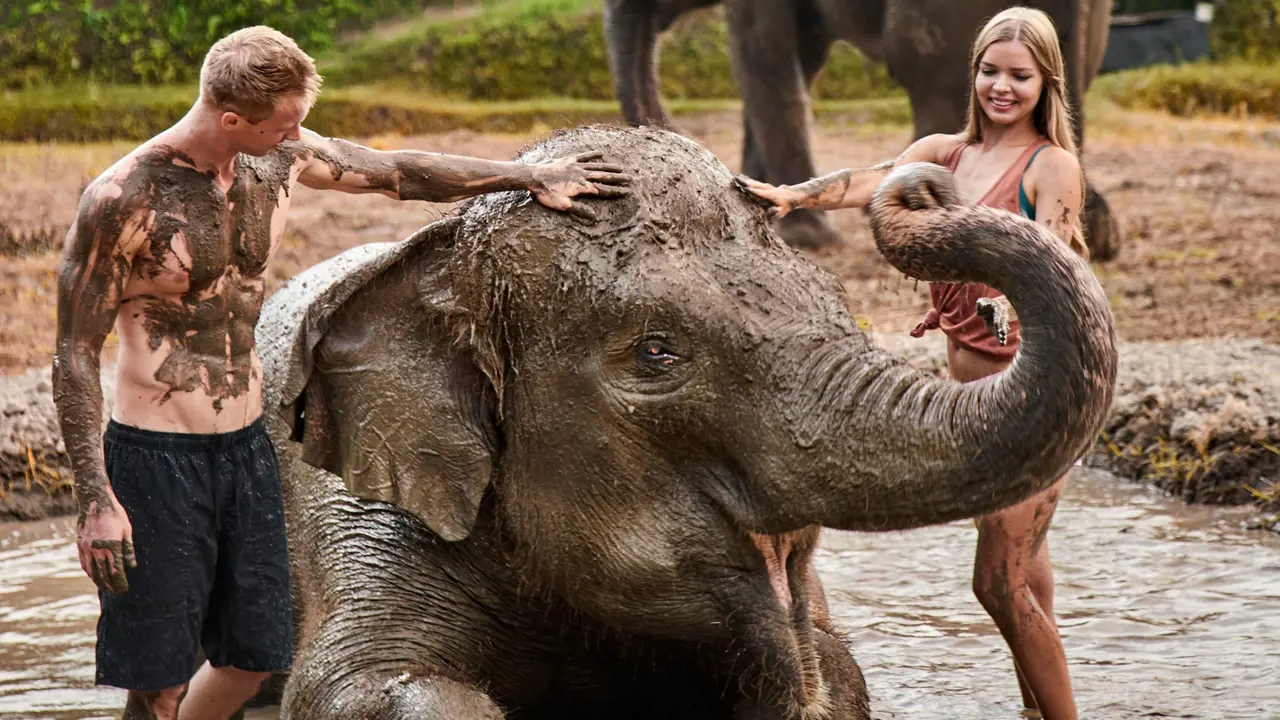 Bali Zoo Ticket – Bild 5