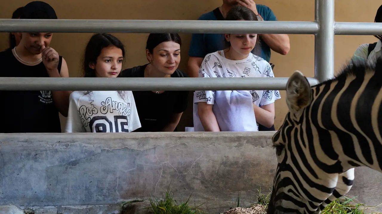Bali Zoo Ticket – Bild 6