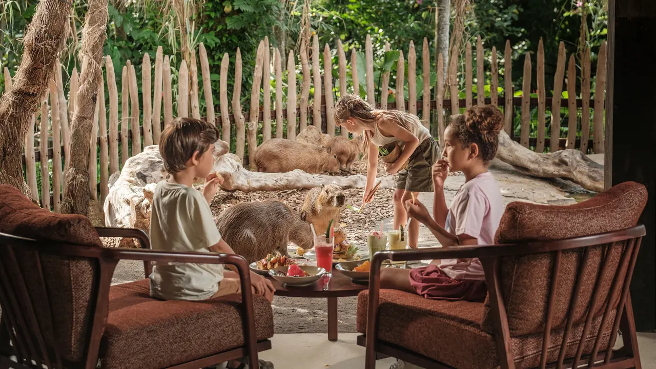 Bali Zoo Ticket – Bild 7