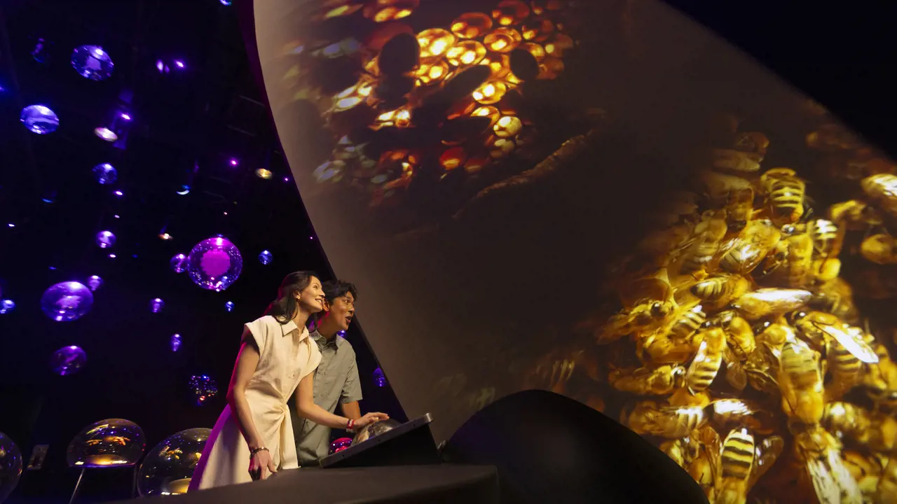 Exploria in Mandai Singapore Ticket – Bild 4