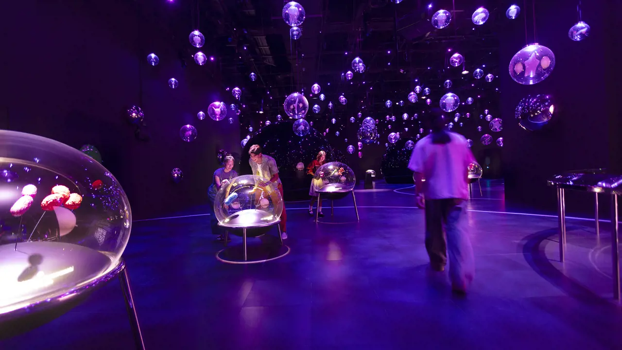 Exploria in Mandai Singapore Ticket – Bild 6
