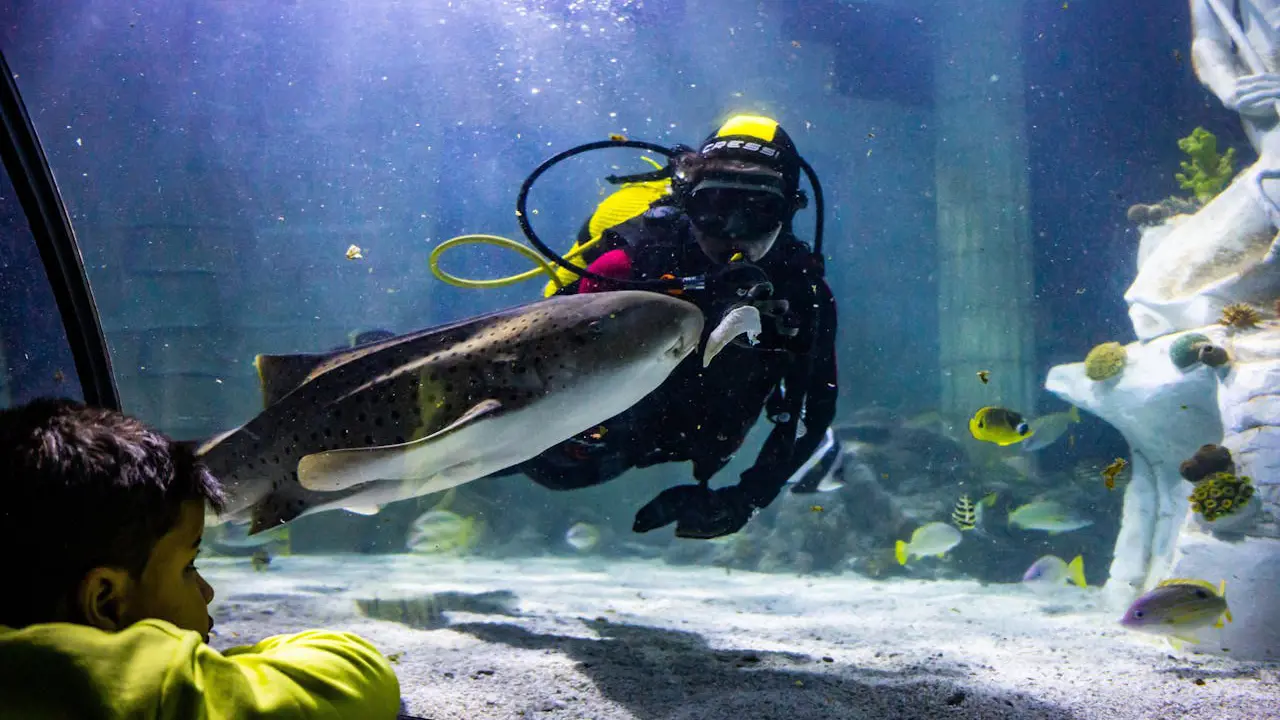 SEA LIFE Porto Ticket – Bild 2