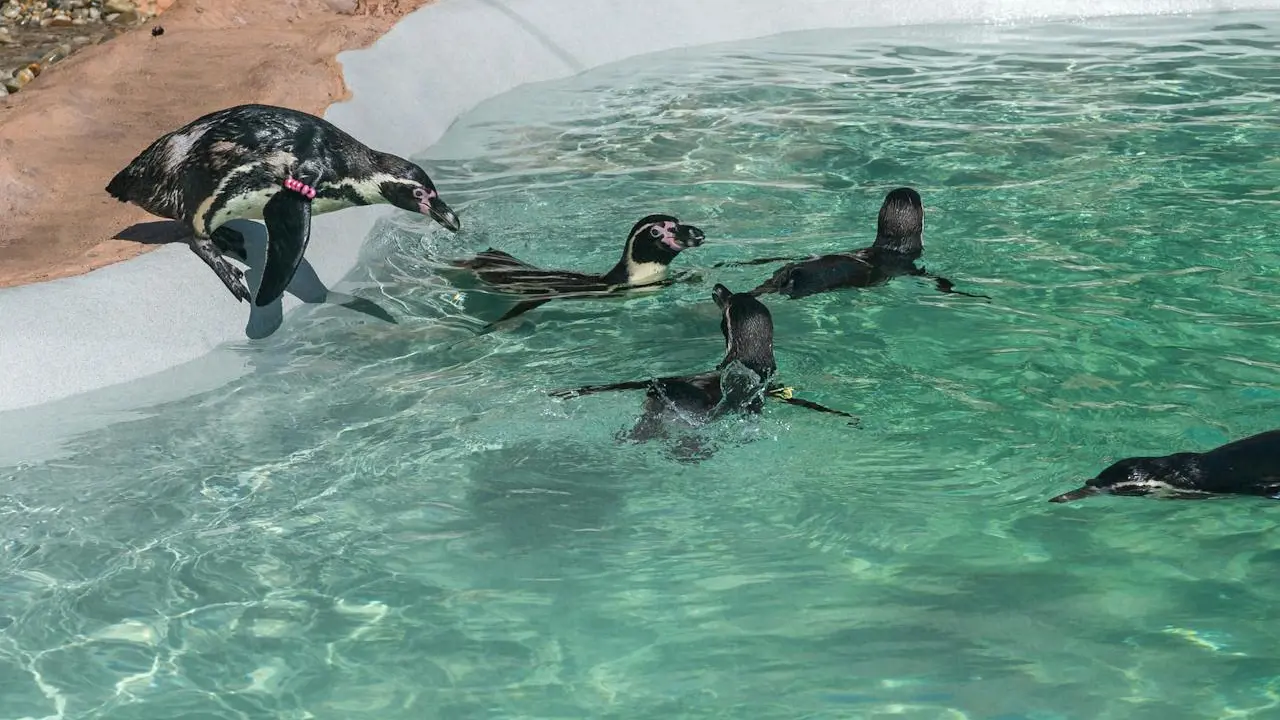 SEA LIFE Porto Ticket – Bild 3