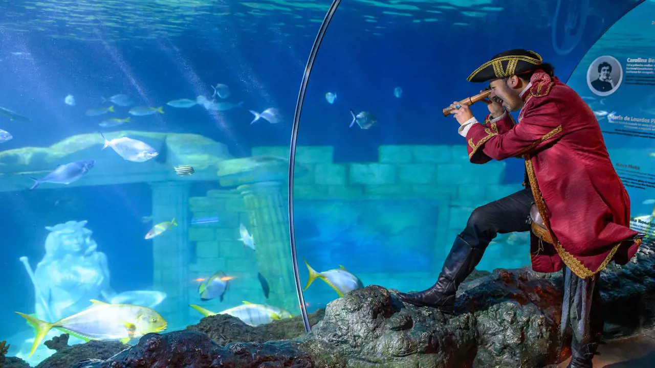 SEA LIFE Porto Ticket – Bild 6