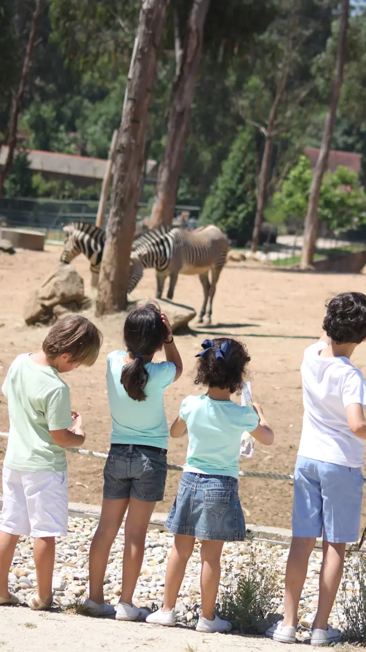 Zoo Santo Inácio Ticket – Bild 5