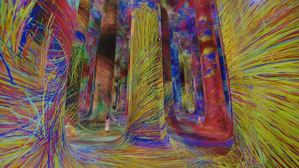 Цифровой арт-музей teamLab Phenomena Абу-Даби