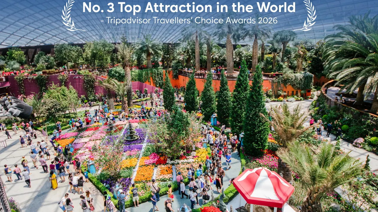 Gardens by the Bay Ticket – Bild 2