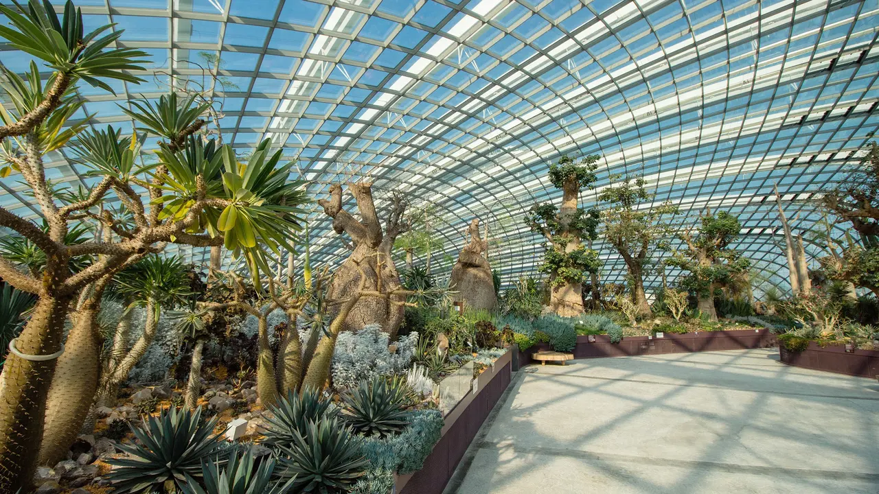 COMBO: Universal Studios Singapore + Gardens by the Bay Ticket – Bild 8