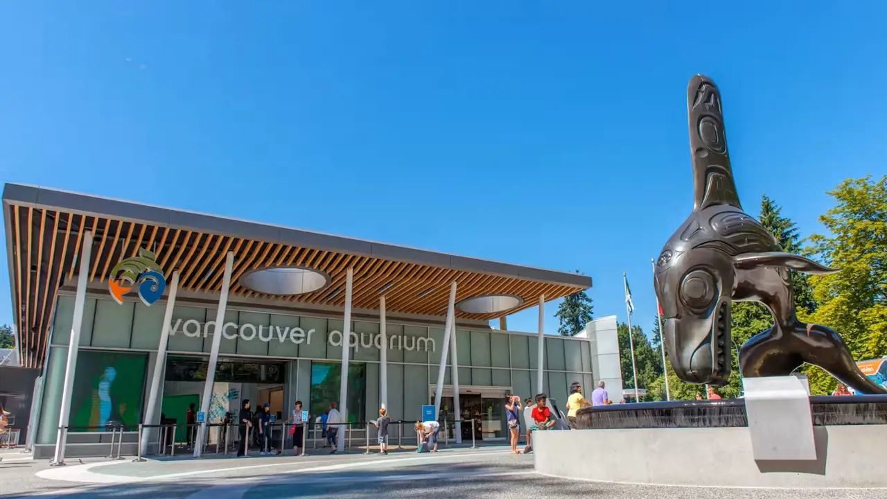 Vancouver Aquarium Ticket – Bild 2