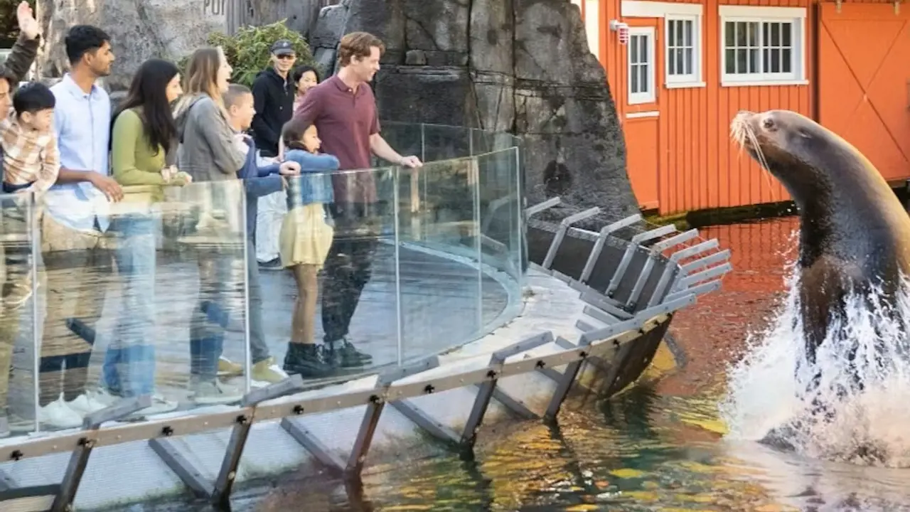 Vancouver Aquarium Ticket – Bild 3