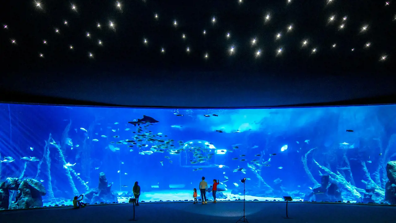 Poema del Mar - Aquarium Gran Canaria: Skip The Line Ticket – Bild 2