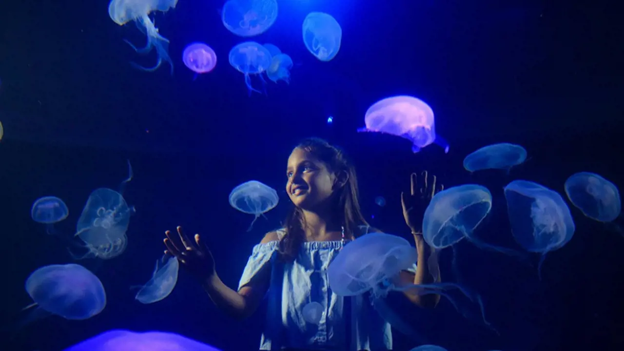 Palma Aquarium: Skip The Line Ticket + Optional 3D Cinema Aquadome – Bild 2