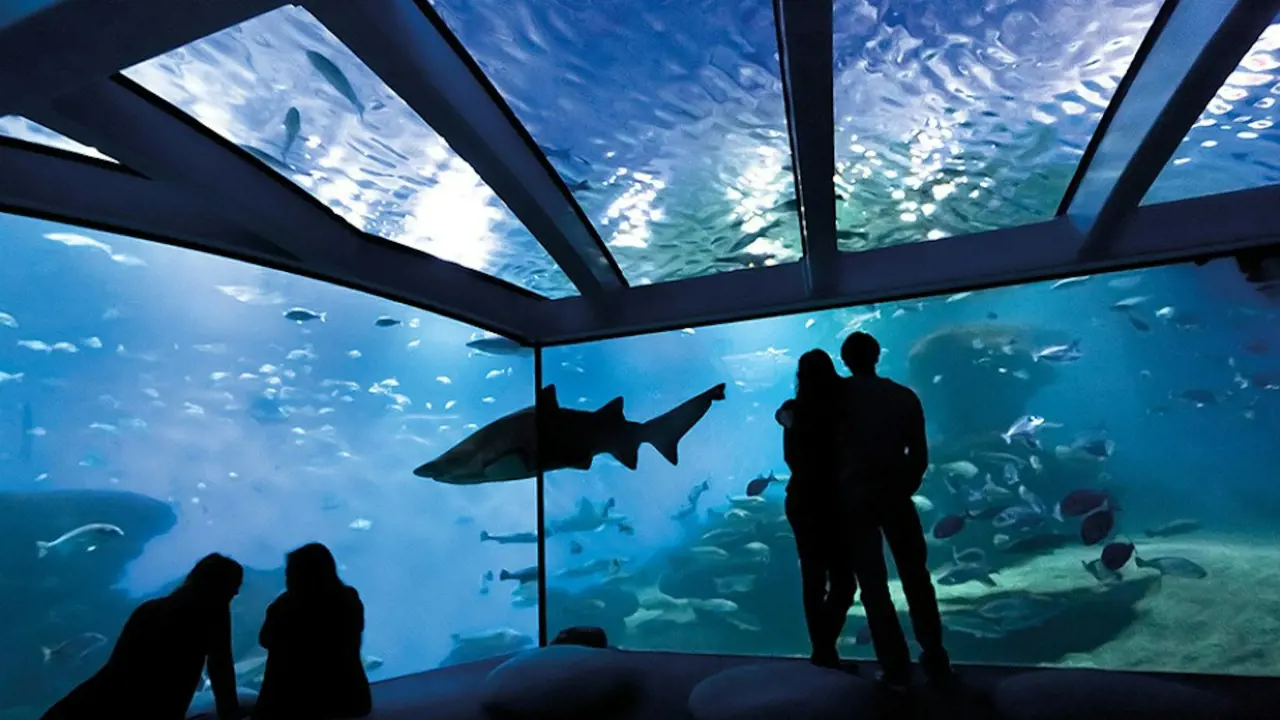 Palma Aquarium: Skip The Line Ticket + Optional 3D Cinema Aquadome – Bild 7