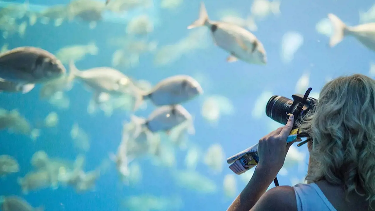 Palma Aquarium: Skip The Line Ticket + Optional 3D Cinema Aquadome – Bild 8