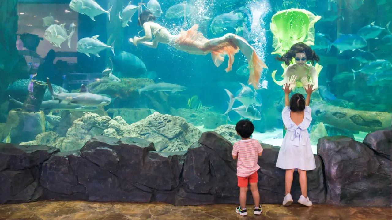 Vinpearl Aquarium Times City Hanoi Ticket