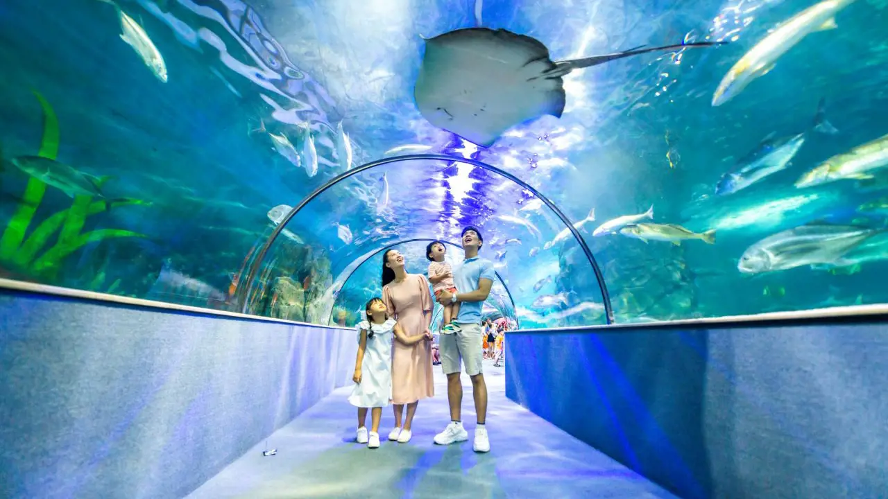 Vinpearl Aquarium Times City Hanoi Ticket – Bild 2