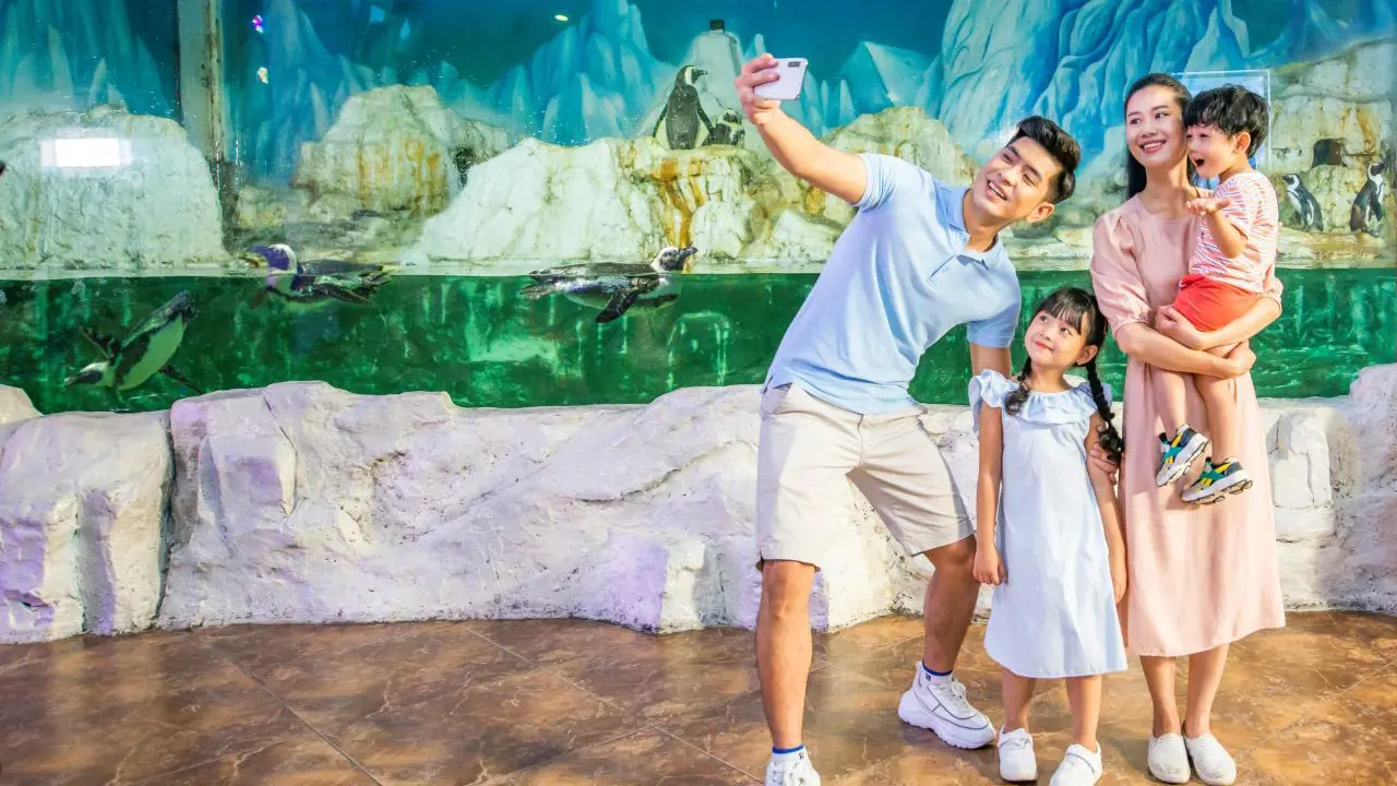 Vinpearl Aquarium Times City Hanoi Ticket – Bild 3