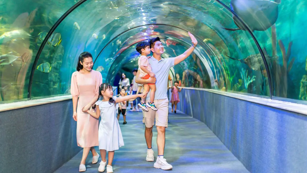 Vinpearl Aquarium Times City Hanoi Ticket – Bild 4