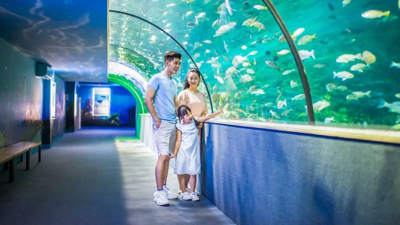 Vinpearl Aquarium Times City Hanoi Ticket – Bild 6