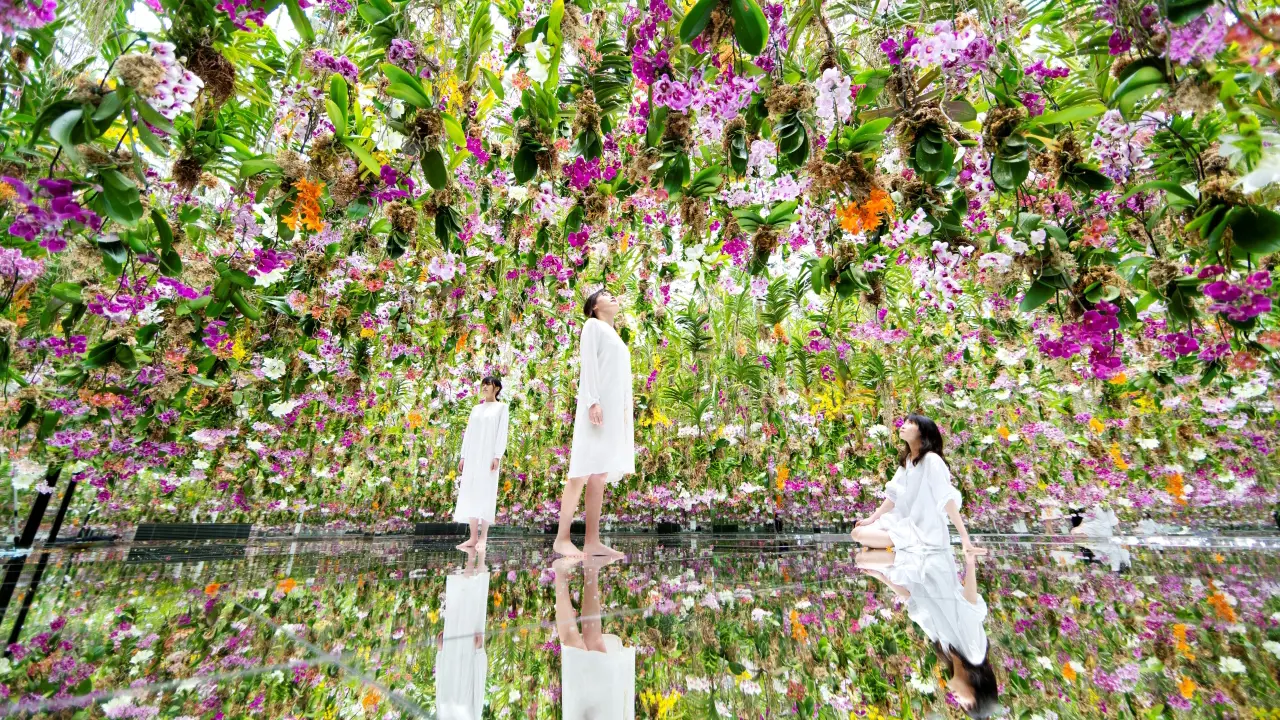 teamLab Planets TOKYO Ticket – Bild 3