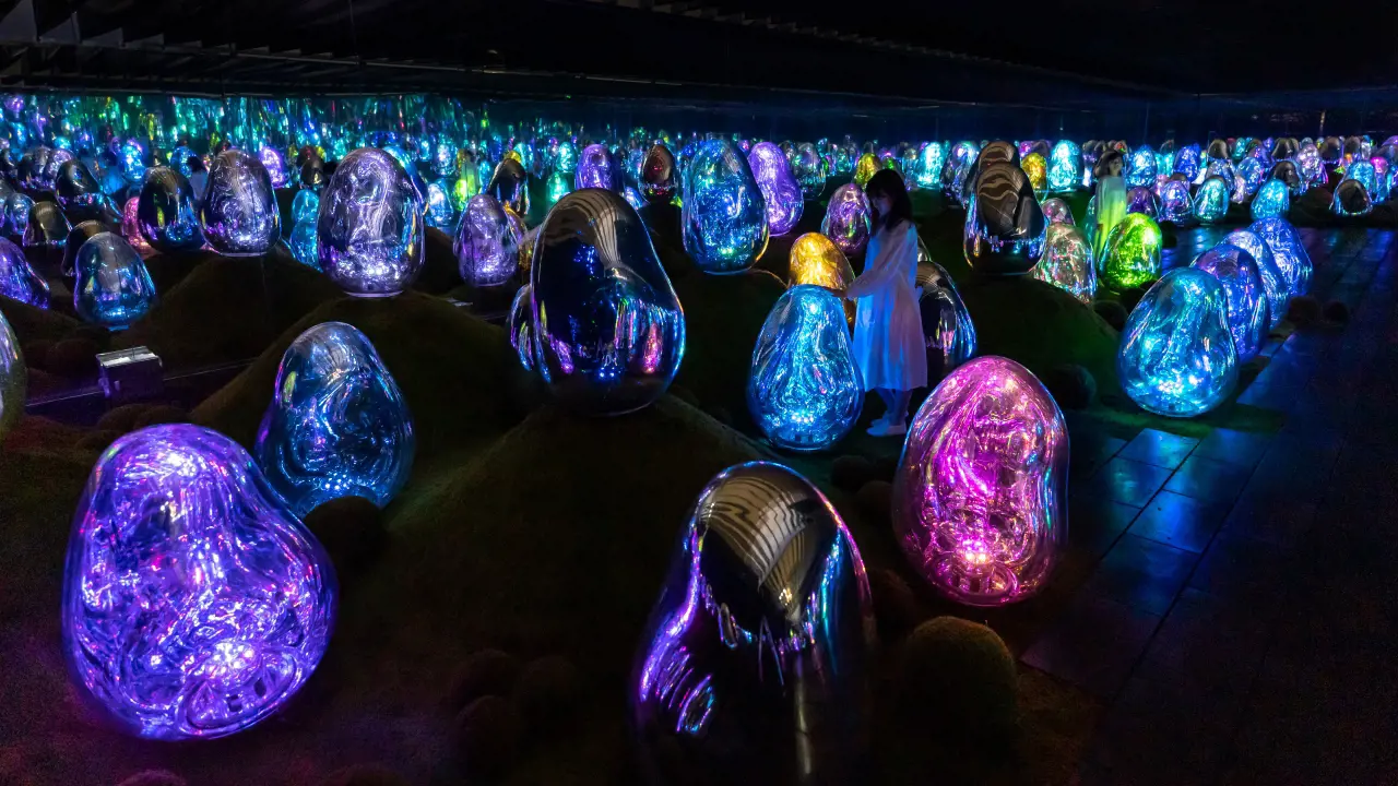 teamLab Planets TOKYO Ticket – Bild 4