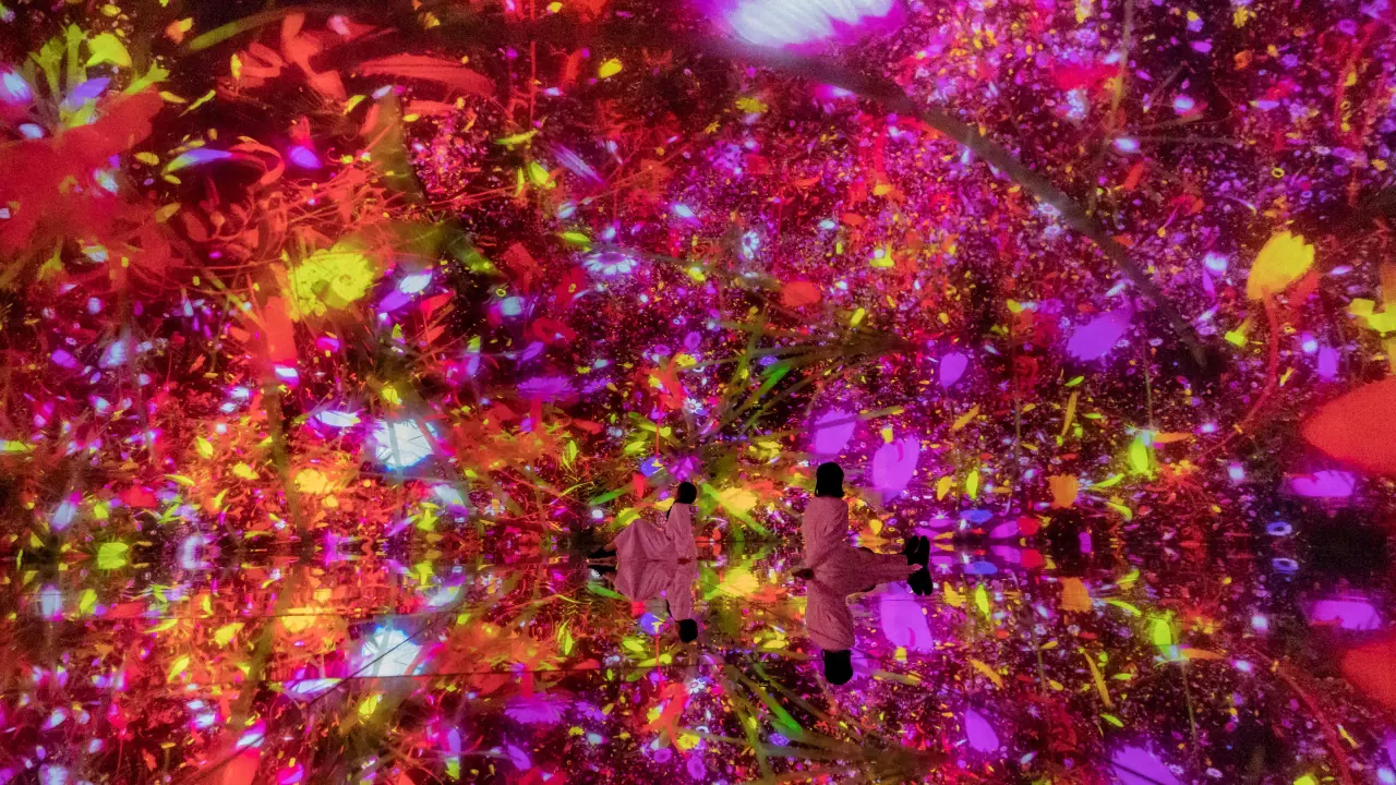 teamLab Planets TOKYO Ticket – Bild 6