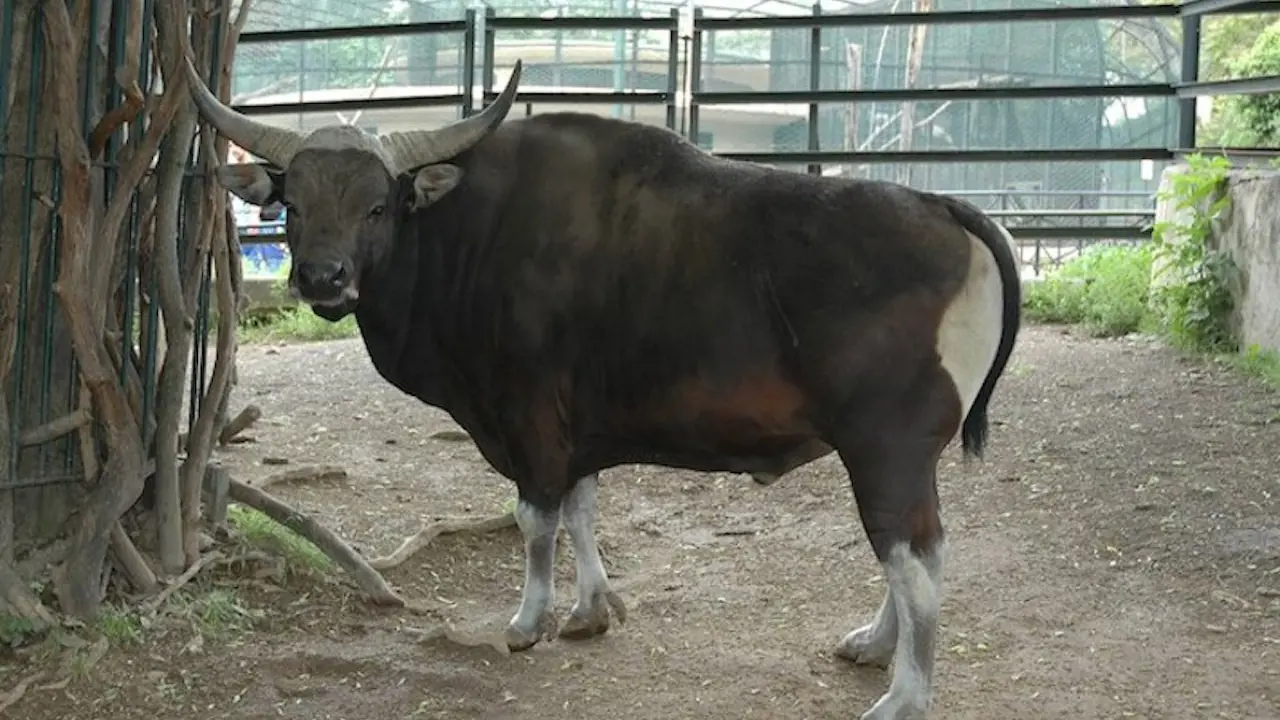 Bioparco: The Zoo of Rome – Bild 7
